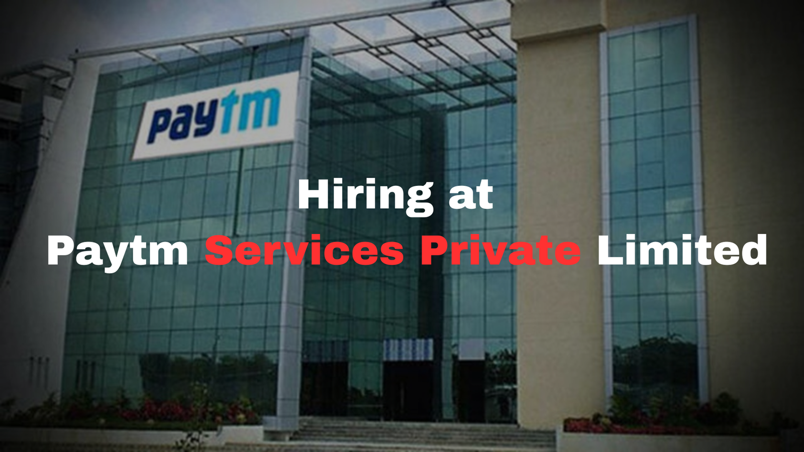 Paytm Field Sales Executive Job 2026 Freshers Apply