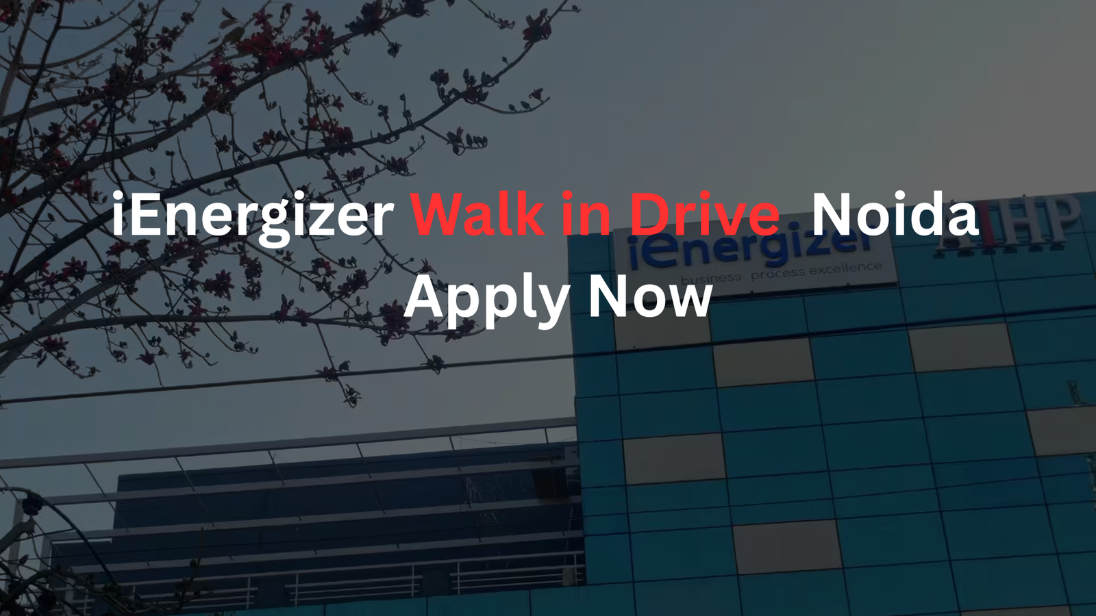 iEnergizer Walk in Drive 2026 Noida Travel Process Job Apply Now